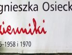 Dzienniki Agnieszki Osieckiej fragment okładki